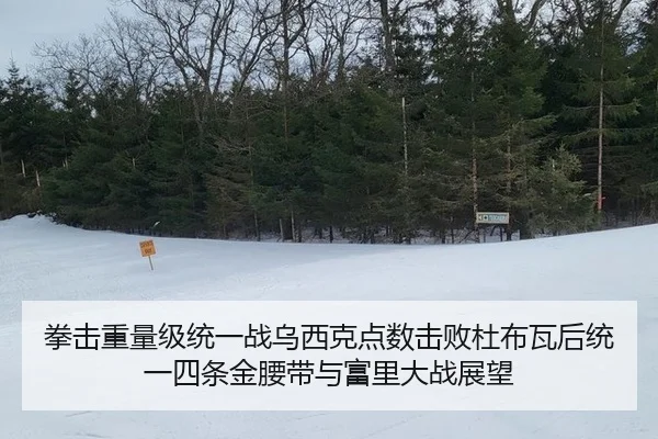 quan-ji-zhong-liang-ji-tong-yi-zhan-wu-xi-ke-dian-shu-ji-bai-du-bu-wa-hou-tong-yi-si-tiao-jin-yao-dai-yu-fu-li-da-zhan-3-690.jpg