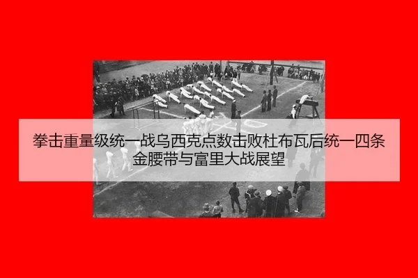 拳击重量级统一战乌西克点数击败杜布瓦后统一四条金腰带与富里大战展望