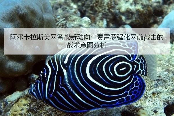 a-er-ka-la-si-mei-wang-bei-zhan-xin-dong-xiang-fei-lei-luo-qiang-hua-wang-qian-jie-ji-de-zhan-shu-yi-tu-fen-xi-3-356.jpg